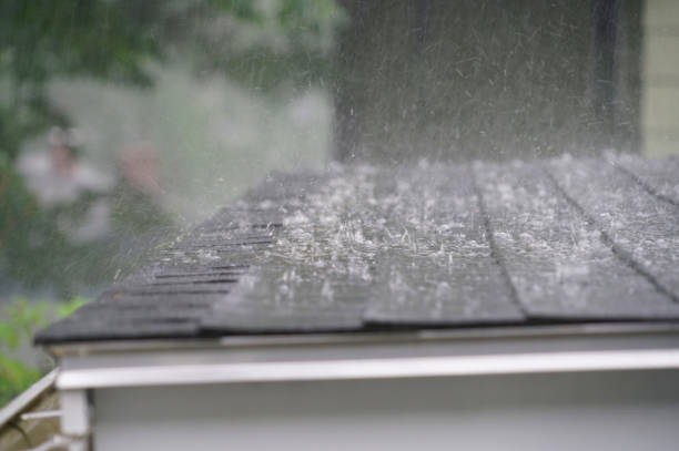 Best Roof Moss and Algae Removal  in Vaville, CA